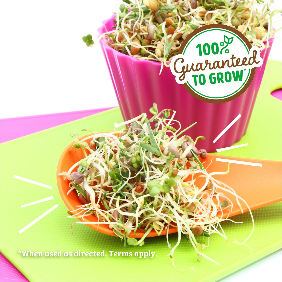 Back to the Roots salad seed mix closeup showing vibrant crunchy sprouts