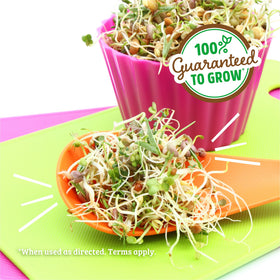 Back to the Roots salad seed mix closeup showing vibrant crunchy sprouts