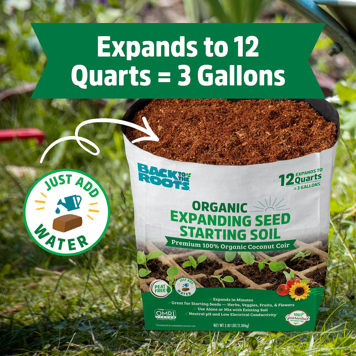 Back to the Roots seed starting block in pots or garden, versatile for many plants.