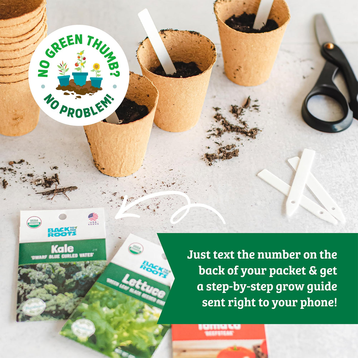 Back to the Roots seeds collection flowers for vibrant blooms