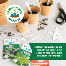 Back to the Roots seeds collection flowers for vibrant blooms