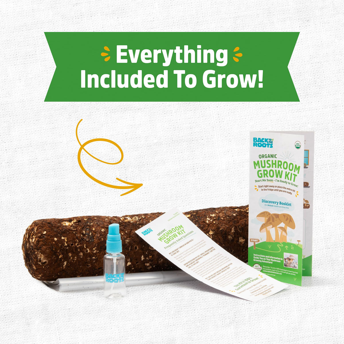 Inoculated shiitake log with living mycelium primed for indoor fruiting.
