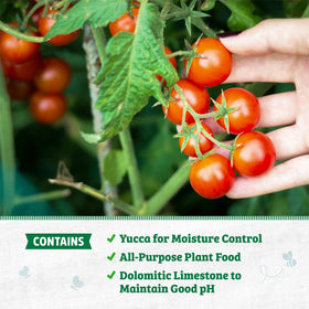 Upcycled plant matter and wood fines create peat free soil with lower impact