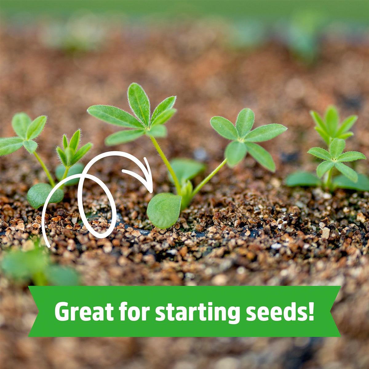 Back to the Roots vermiculite enhances soil texture in containers.