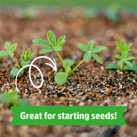 Back to the Roots vermiculite enhances soil texture in containers.