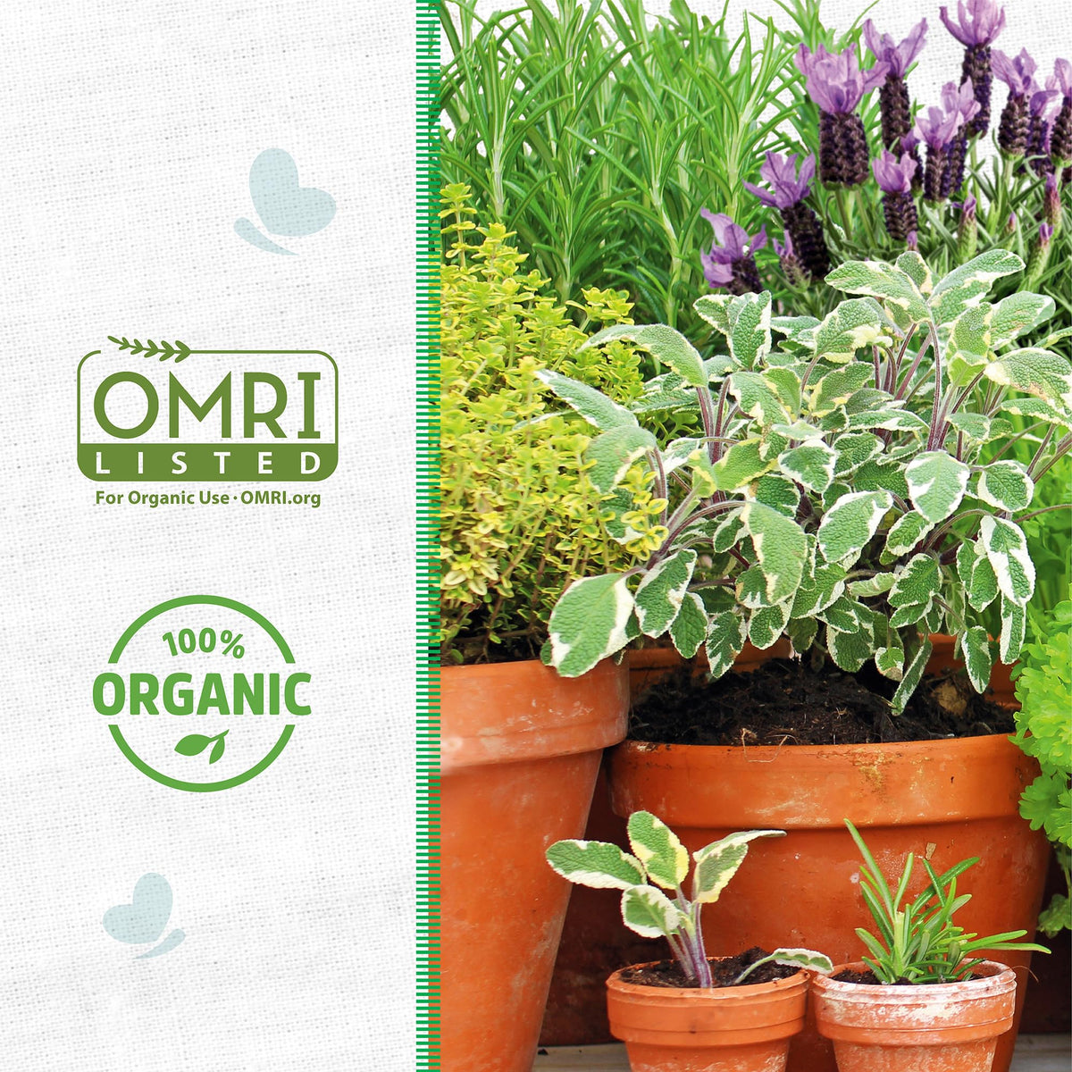 Back to the Roots vermiculite aids moisture retention for thriving plants.