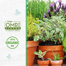 Back to the Roots vermiculite aids moisture retention for thriving plants.