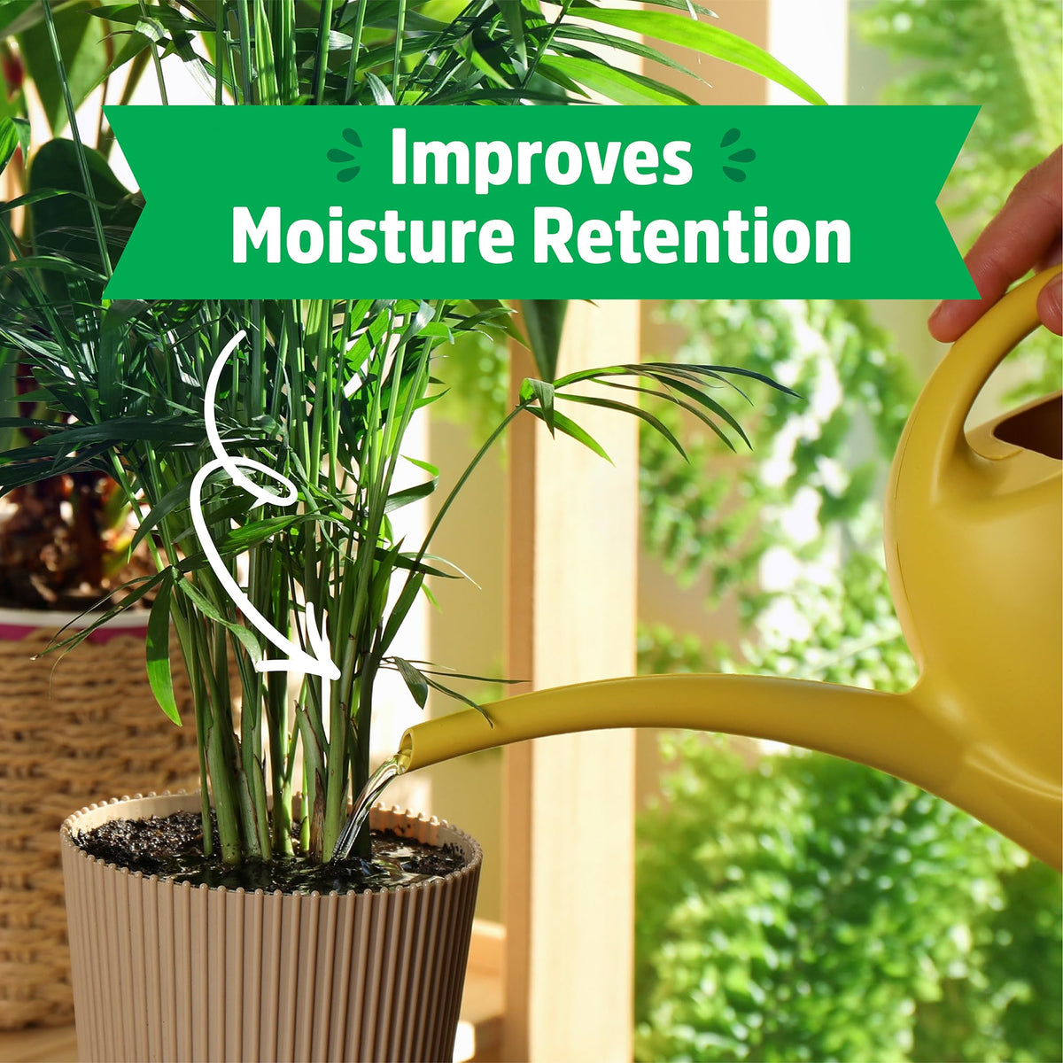 Back to the Roots vermiculite insulates indoor pots for steady growth.