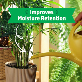 Back to the Roots vermiculite insulates indoor pots for steady growth.