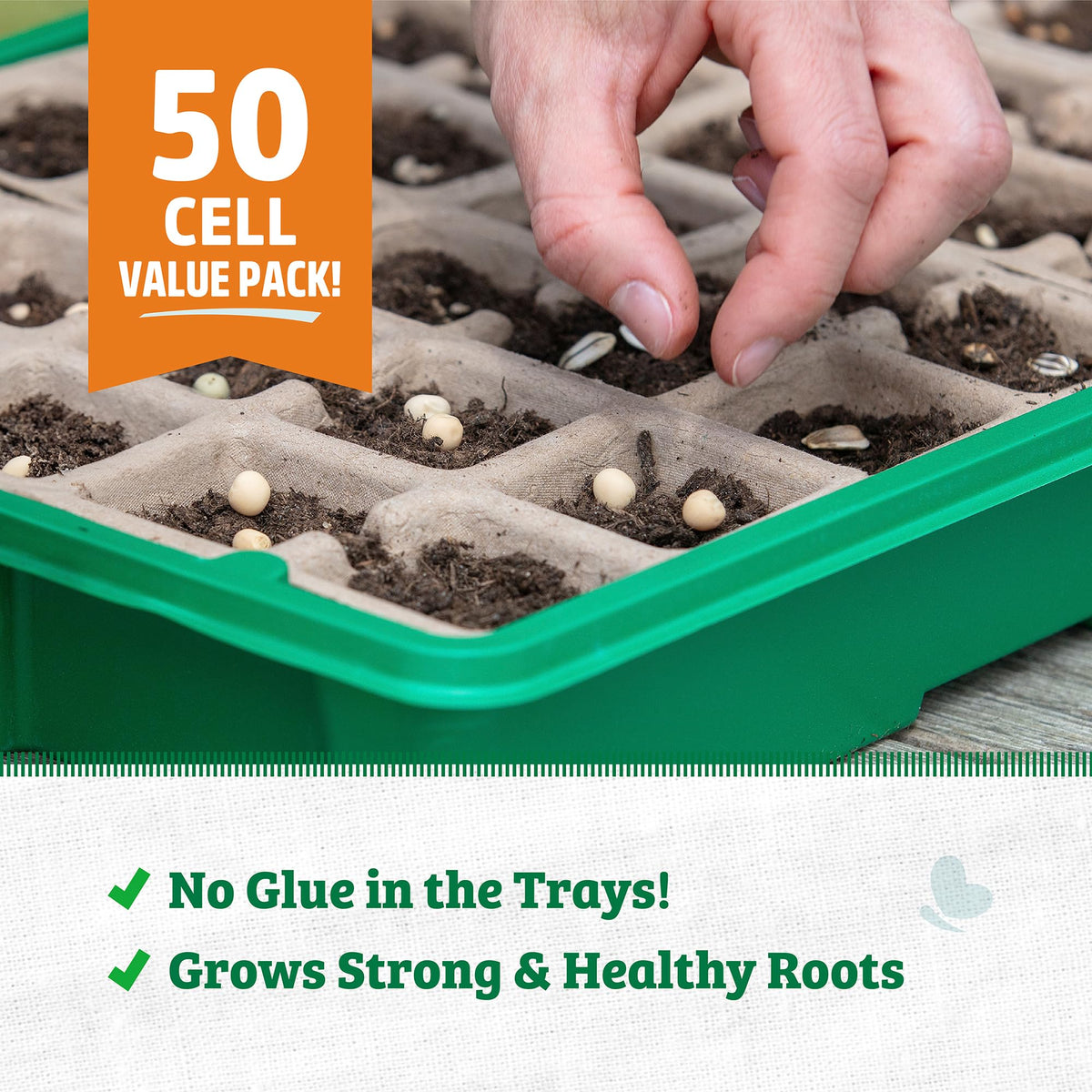 Back to the Roots versatile seed trays for herbs, fruits, and vegetables.