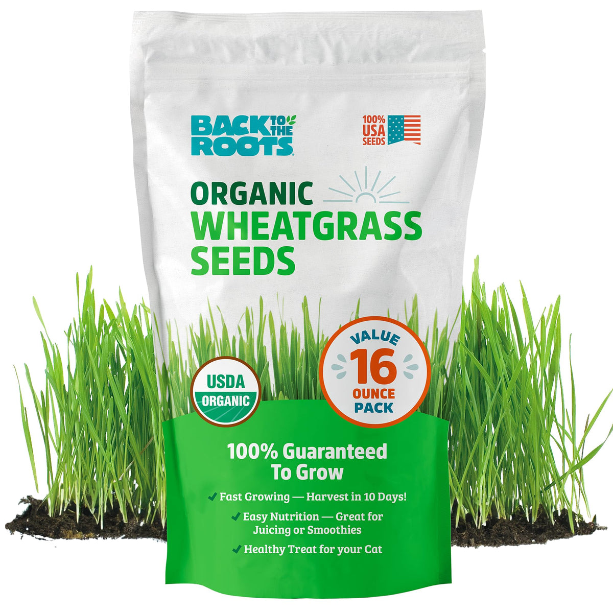 Back to the Roots wheatgrass seeds in a 1 lb bag for easy organic growth.