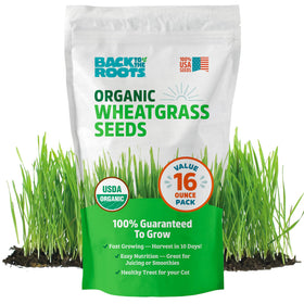 Back to the Roots wheatgrass seeds in a 1 lb bag for easy organic growth.