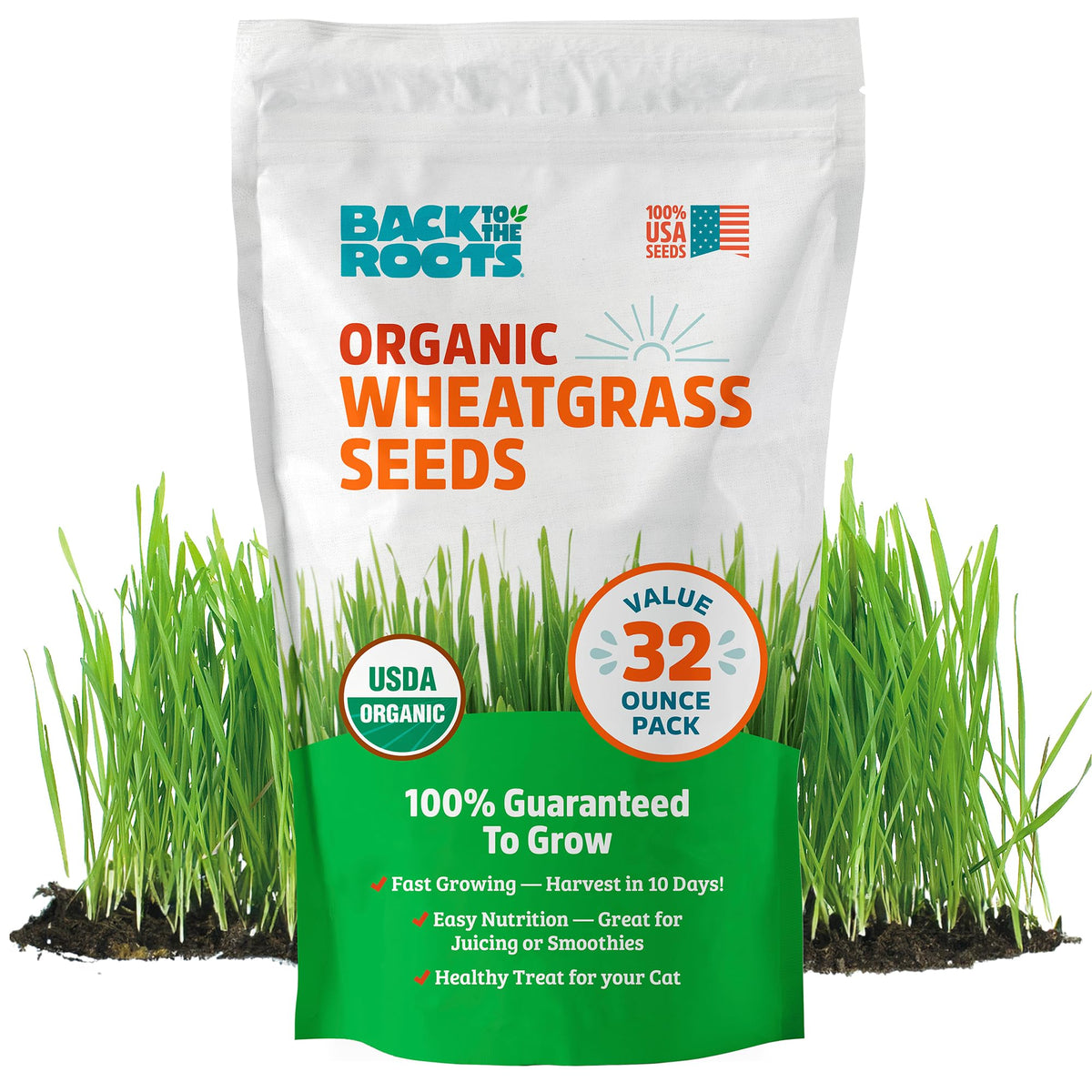 Back to the Roots wheatgrass seeds 2lb bag ready for organic home growing