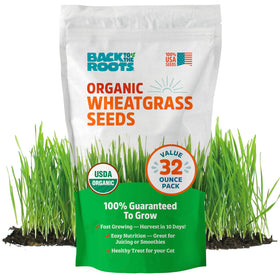Back to the Roots wheatgrass seeds 2lb bag ready for organic home growing