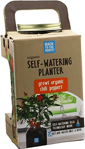 Back to the Roots fertilizer spikes nourish indoor chili peppers.