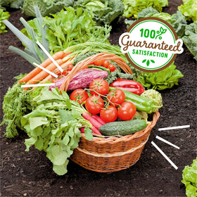 Back to the Roots worm castings DIY garden use for simple, effective results.