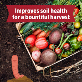 Back to the Roots worm castings soil application for easy gardening use.