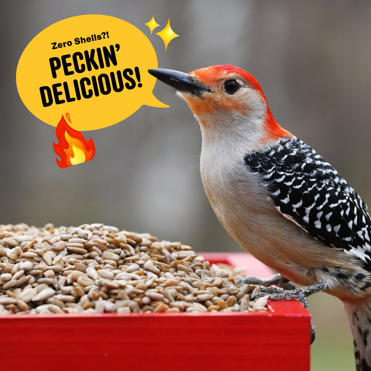 Cool Birds Hearts on Fire attracts cardinals and finches in your backyard.