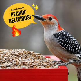 Cool Birds Hearts on Fire attracts cardinals and finches in your backyard.