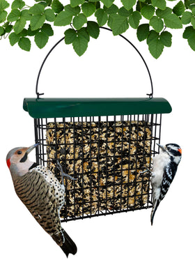 Backyard Essentials large suet feeder dual‑sided attracts clinger birds.