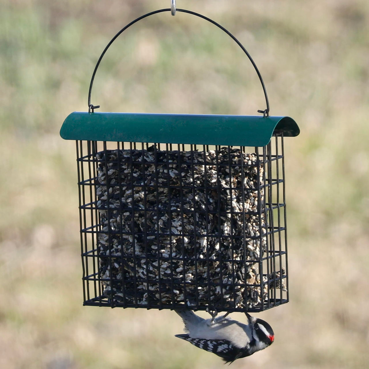 Backyard Essentials holds one large seed cake for easy refills.
