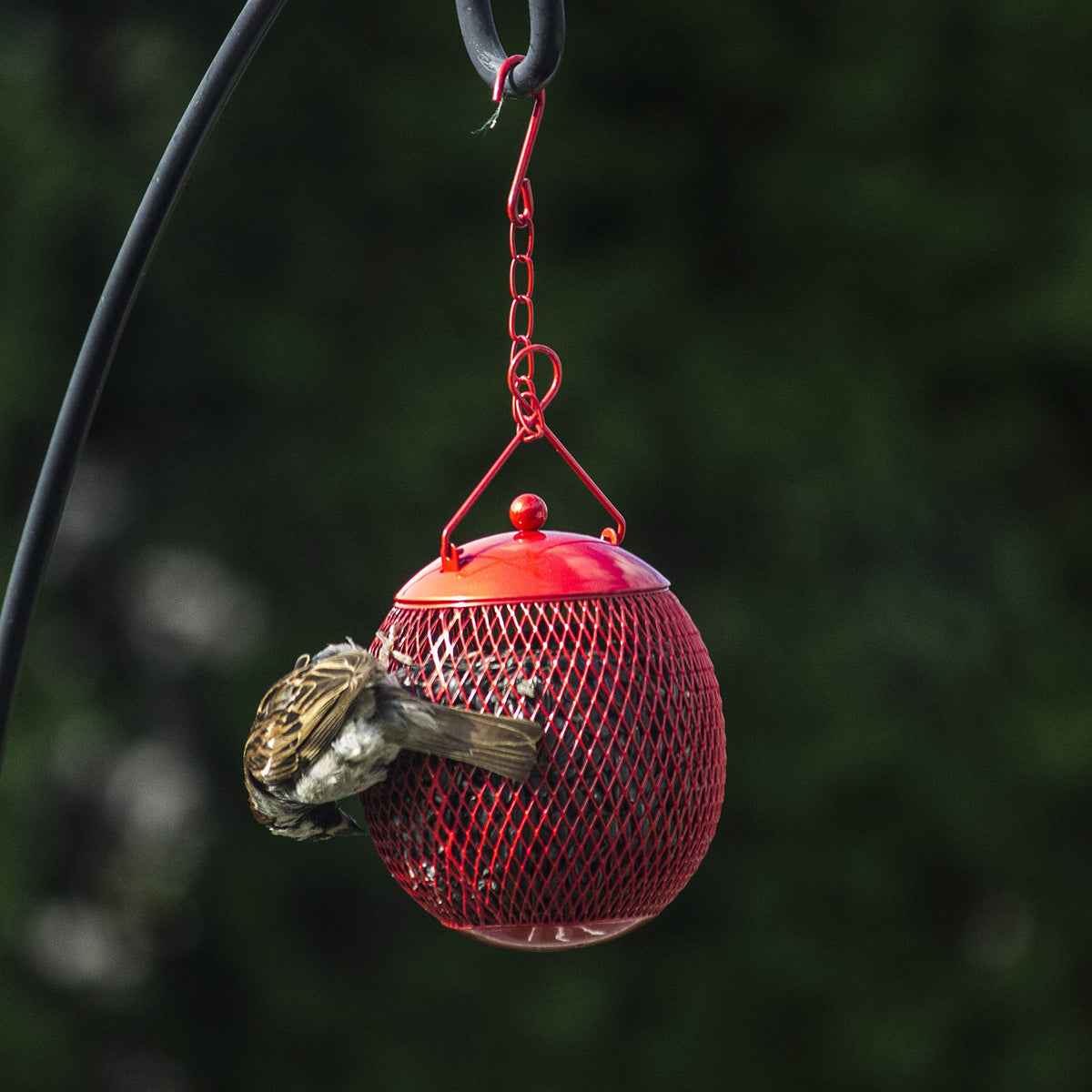 Backyard Expressions 3-pack display with red, blue, and yellow feeders brightening the yard.