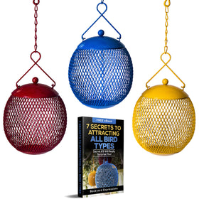 Backyard Expressions red mesh bird feeder on a branch attracting cardinals and finches.