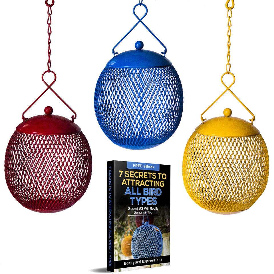 Backyard Expressions red mesh bird feeder on a branch attracting cardinals and finches.
