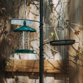 Backyard Expressions Bird Feeding Station tray accommodates mealworms, suet, and seeds.