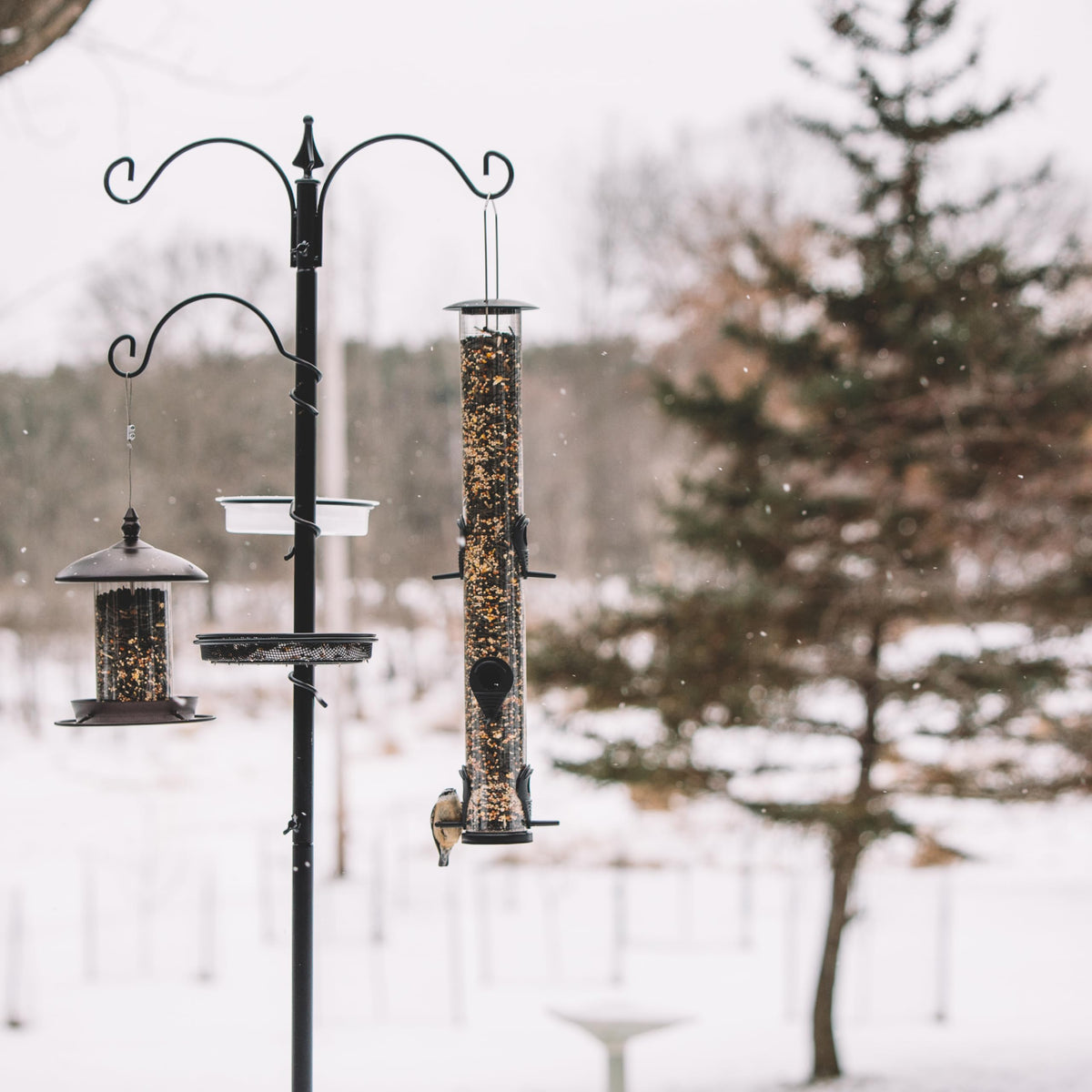 Backyard Expressions Bird Feeding Station water bowl doubles as a refreshing bird bath.