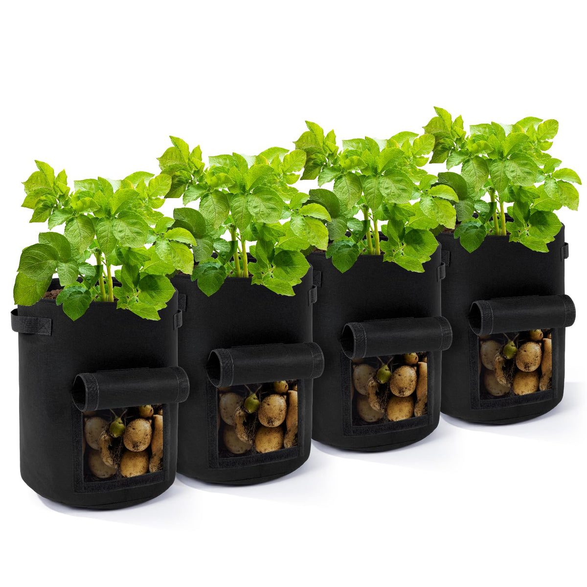 Backyard Expressions potato grow bags with harvest window for easy check and harvest without digging.