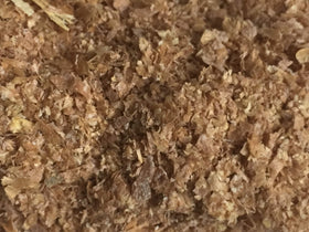 BadAssBugs wheat bran bedding in use with mealworms demonstrates safe insect habitat.