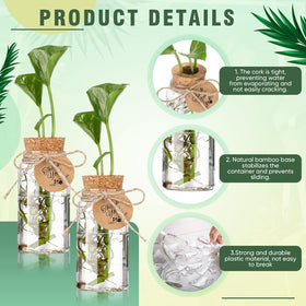 Baderke 4oz clear propagation jar offers transparent water level view.