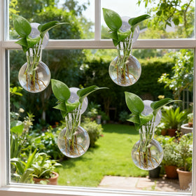 Baderke clear acrylic growth vase showcases lush roots and water visibility.