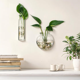 Baderke transparent glass decor blends with any interior style.