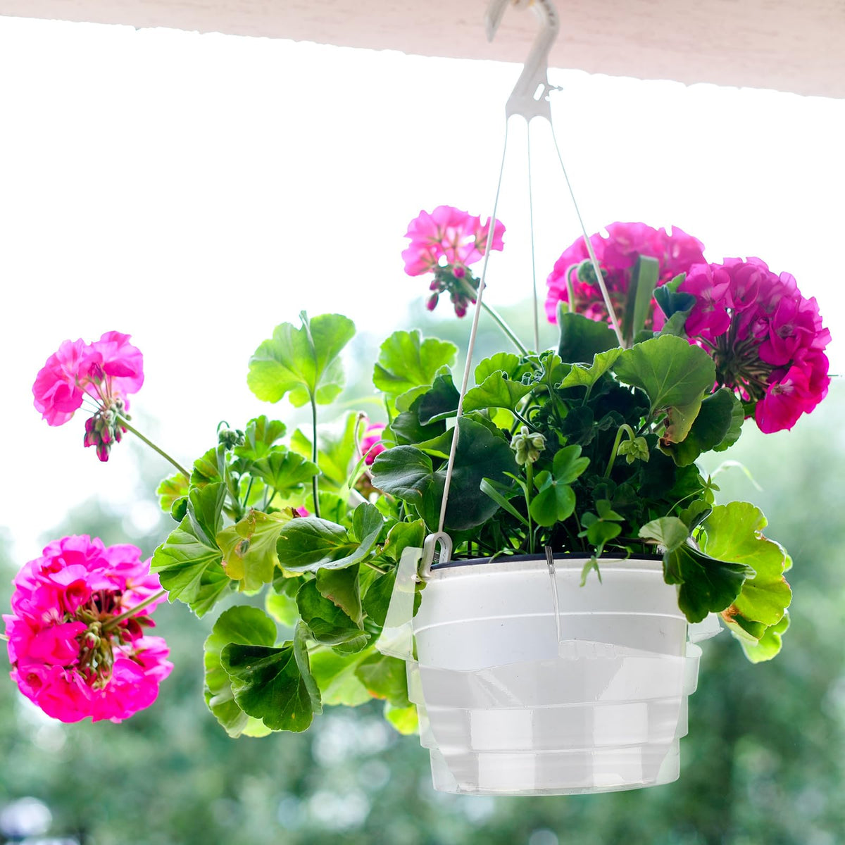 Baderke clear plastic drip pans for indoor and outdoor use