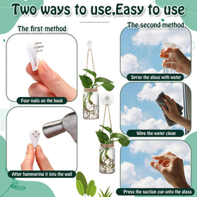 Baderke compact display adds green accent to home, office, or balcony.