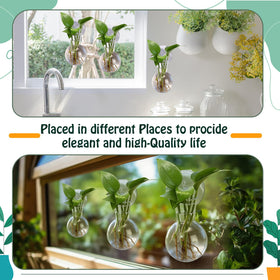 Baderke easy-hang design shows tool-free installation on glass surfaces.
