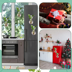 Baderke home office décor setup brings greenery to desks and shelves.