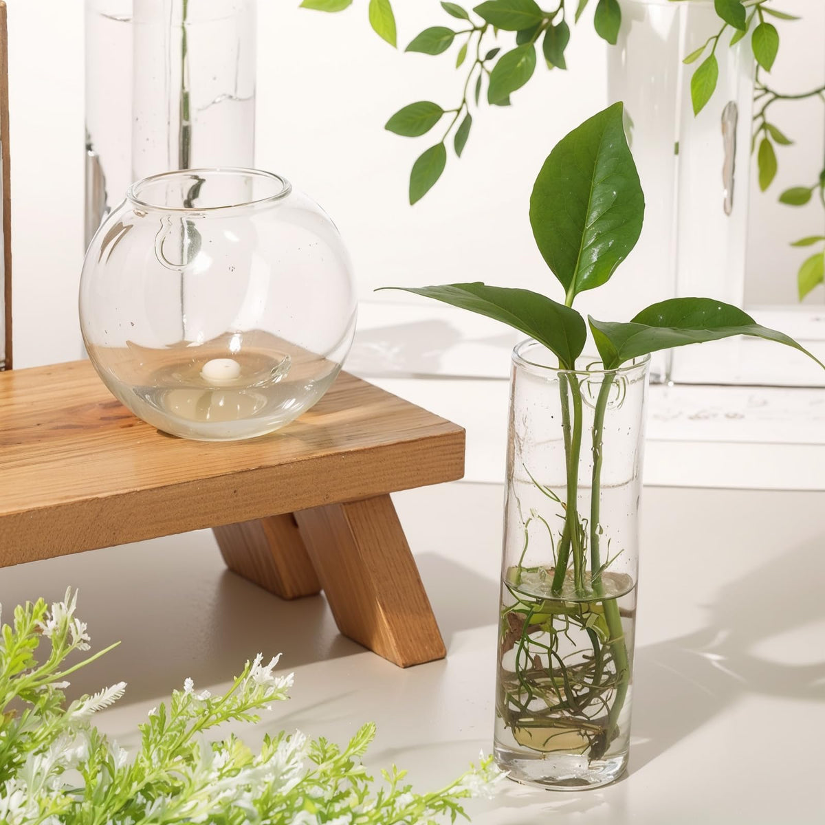 Baderke hydroponic display ideal for ivy and orchids.