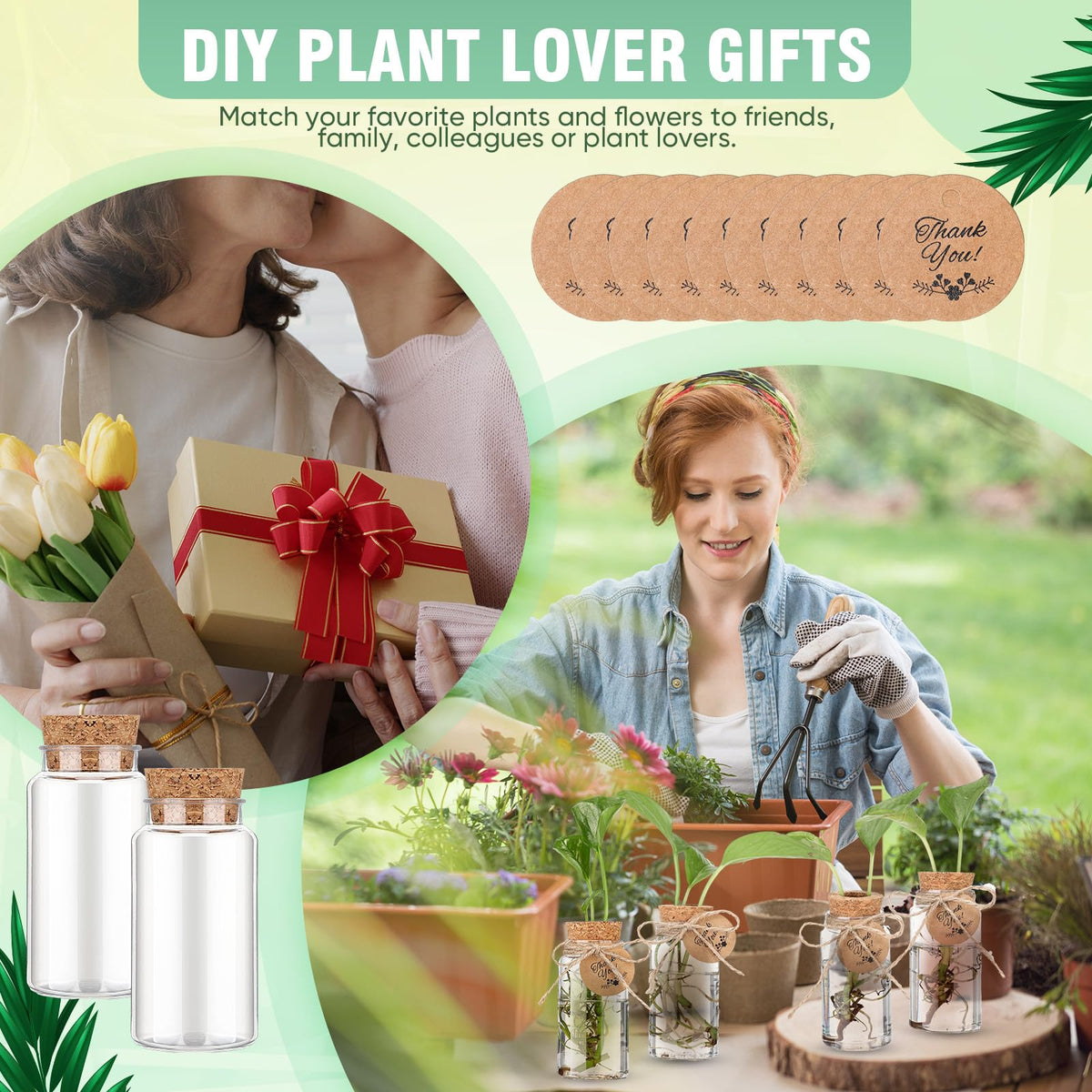 Ideal for desks and home offices as greenery accents.