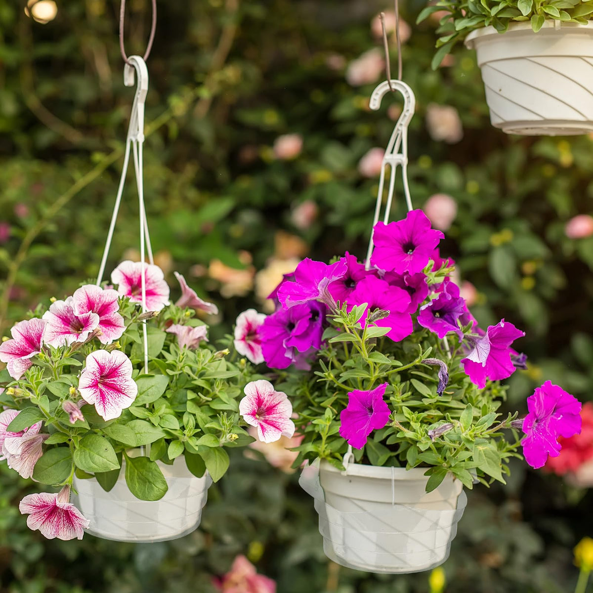 Baderke one-hook design enables quick, secure planter mounting