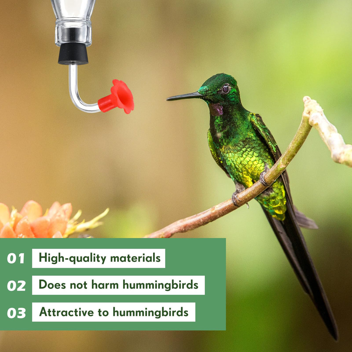 Baderke outdoor compatibility for wine-bottle feeders in gardens.