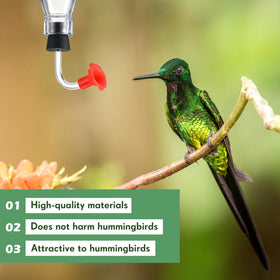 Baderke outdoor compatibility for wine-bottle feeders in gardens.