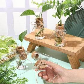 Transparent jars with perforated wooden plugs stabilize plant placement.