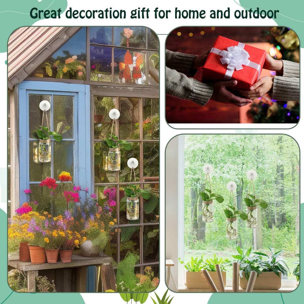 Baderke propagation set makes a thoughtful gift for plant lovers.