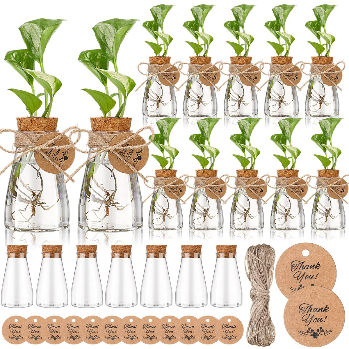 Baderke propagation station with clear bottle to observe plant growth