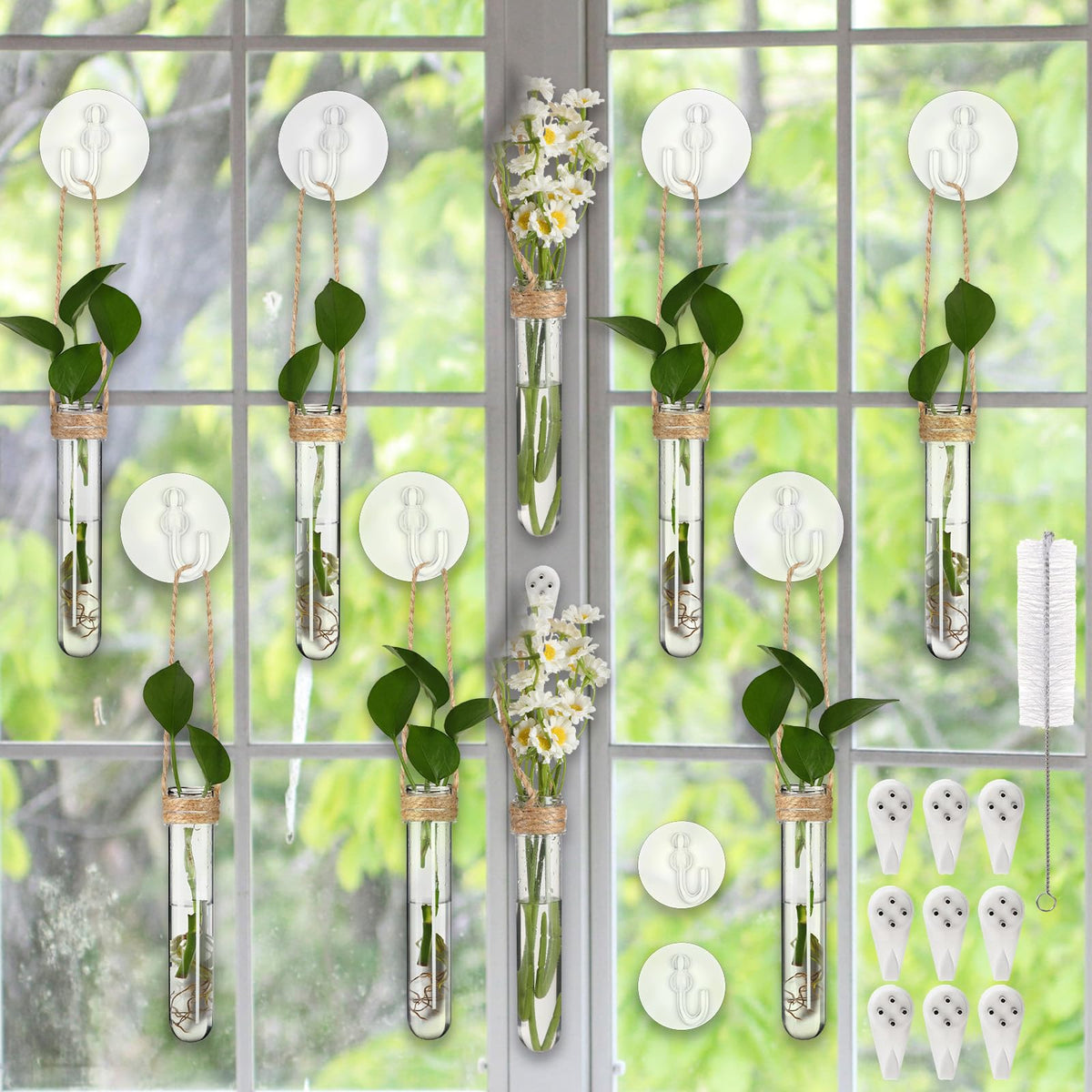 Baderke propagation tubes with window suction cups for easy placement and monitoring root growth.