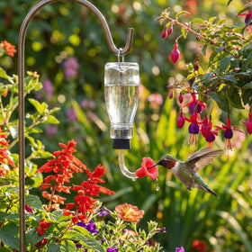 Baderke replacement parts help keep birds visiting reliably.
