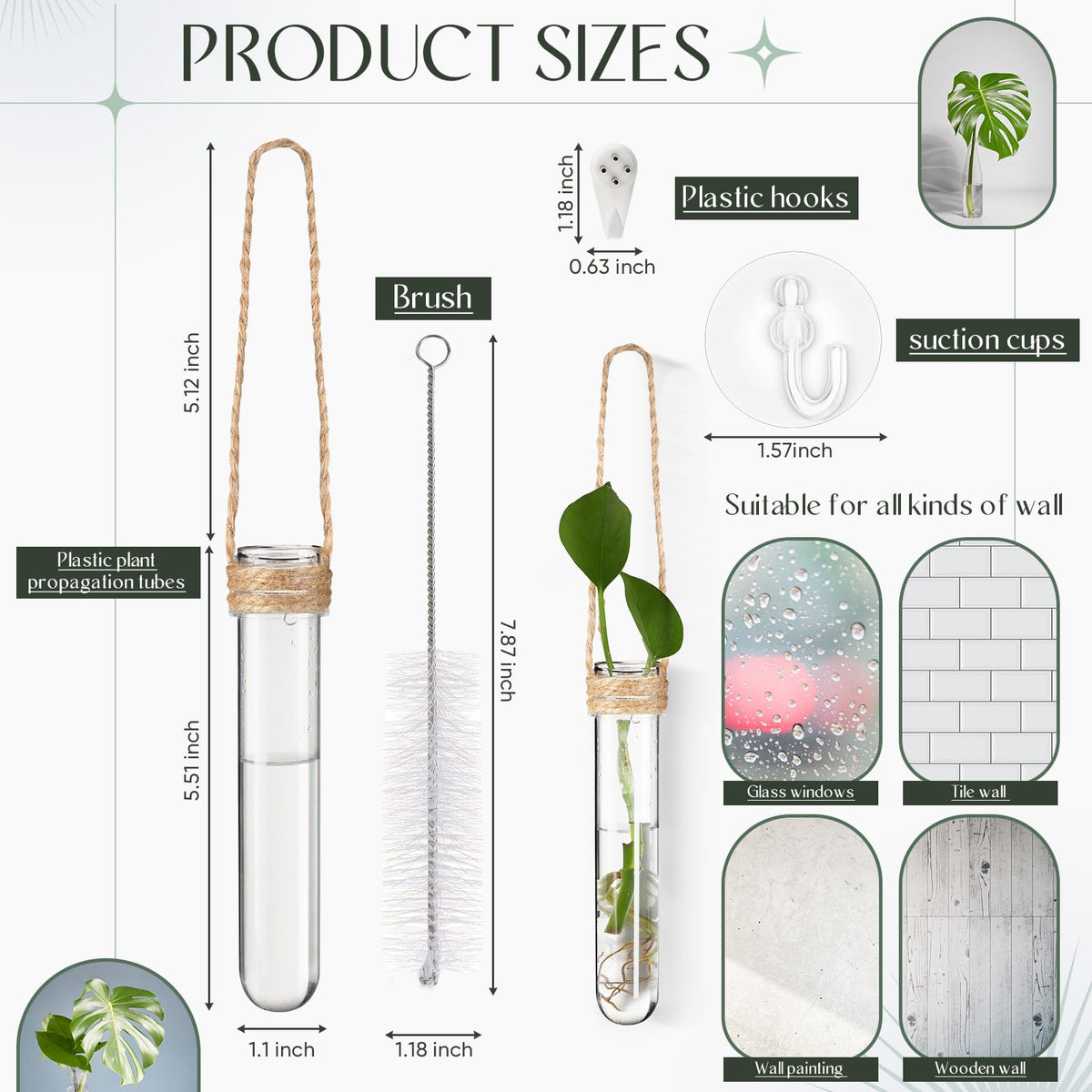 Baderke sucker hooks for hanging on glass or tiles, versatile display.